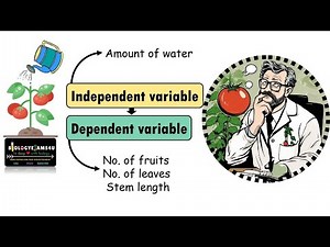 Difference between Dependent, Independent and control variables in science with example