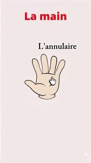 Apprenons ensemble les noms des doigts en français.