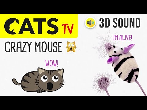 CATS TV - CRAZY Mouse Toy 🙀 60FPS - 3 HOURS (Game for cats to watch)