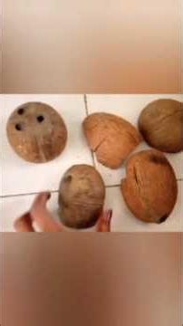 DIY Painting on Coconut Shells! 🥥🎨 #shorts #art #diy #painting #coconutshellcraftmaking