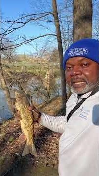 BIG FISH FINALLY! #fish #fishing #bluegill