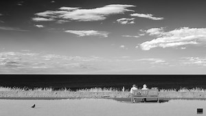 How Infrared Photography Can Turn Boring Shots in Entrancing Photos