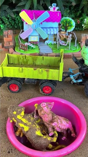 Clean Pet, Mini Tractor Build Water Pump Science Project