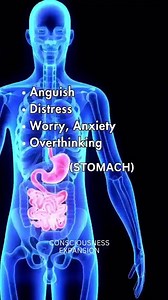 The Science of the Mind–Body Connection | How Your Brain Shapes Your Health