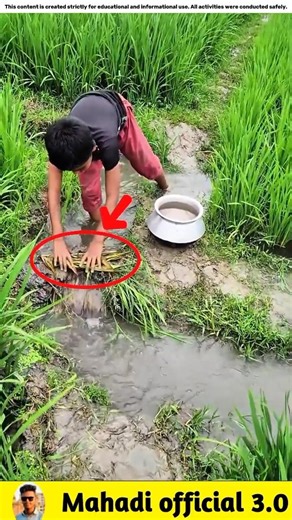 What fish did the 13 year old boy catch? 🐟#viralvideo #facts #fishinggear #fishinglife #fish