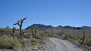 California heat wave: Death Valley could record hottest-ever temperature on Earth