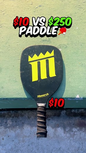 Cheap vs. Expensive Pickleball Paddle Comparison
