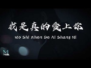 Wo Shi Zhen De Ai Shang Ni (我是真的愛上你) Lyrics 歌词 Pinyin/English Translation (動態歌詞)