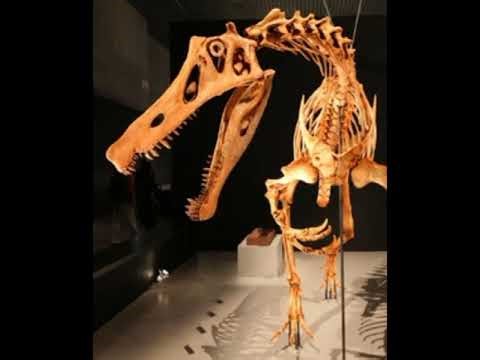 What a irritator sounds like [first dino-brainstorm] request by @Jeriel