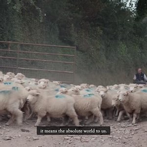 1K views · 14 reactions | In celebration of our brand new Limited...