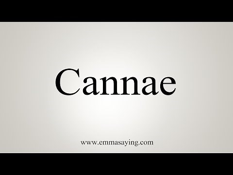 How To Say Cannae