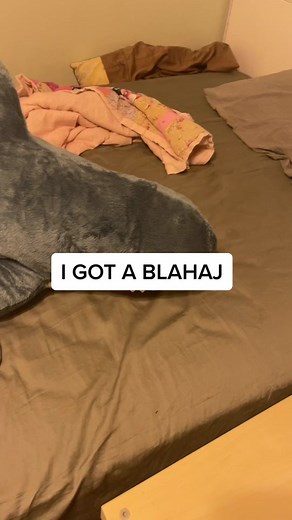 I Got a Blahaj: Celebrating LGBTQ Symbols