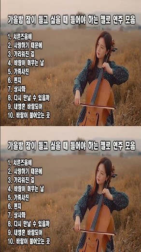 [Playlist] 가을밤 잠이 들고 싶을 때 들어야 하는 첼로 연주