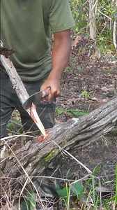 #diy #survival #easydiy #bushcraft #creative #easy