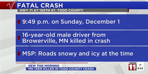 MN teen killed in Todd County crash