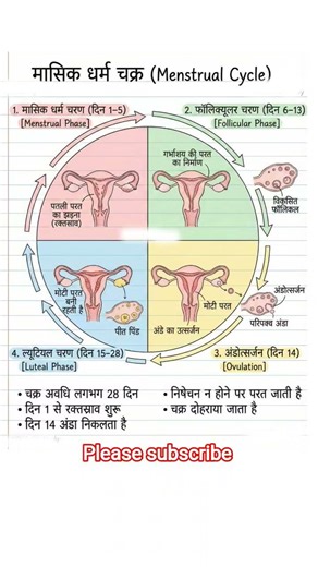 मासिक धर्म चक्र | Menstrual Cycle in Hindi | GK for Exams #Shorts #rpsc #facts #gk #viral