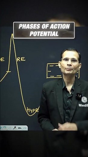 Action Potential Phases Explained ⚡ Physiology High-Yield #NEETPG #FMGE #mbbs #mbbslife #humanbody