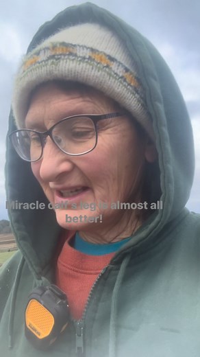 Miracle Calf born September 27th with extremely emotional and difficult delivery for Mary is doing GREAT!!!! | Mary Klecha Conroe