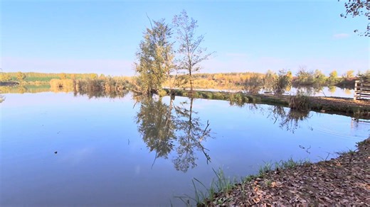 Lago predatori🍂🍁 | Pesca Sportiva dalla Maria