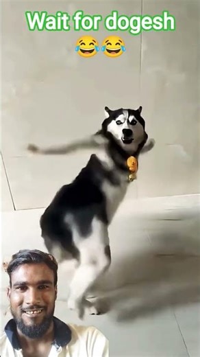 hehehe🐩 OMG 😂😂 #funny #shortvideo