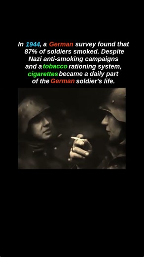cigarette consumption in the German army was astronomical #shorts #ww2 #weirdfacts
