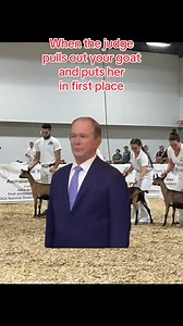 The best feeling #sillyanimals #goatsofinstagram #showgoats #dairy #dairygoatfarming #dairygoatsofinstagram #countrylife #goats #goatfarm #goatshow #GOAT #dairygoats #farm #agriculture #ADGA #cuteanimals #farming #farmlife #zinnias #promotethegoat | Ringside: American Dairy Goat Podcast