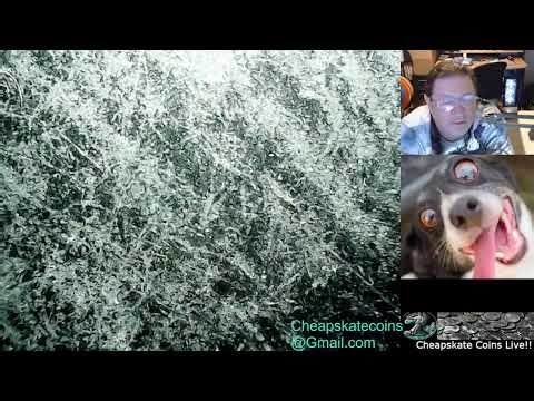 Cheapskate Coins Weekly Coin Sale December 19th 2025