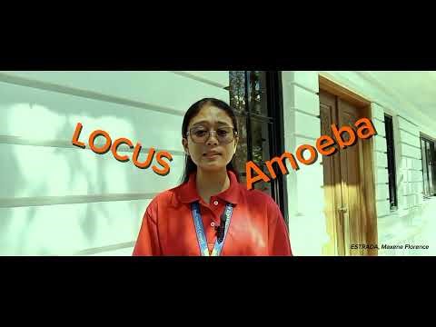 Operating Systems in the Real World: Concept Mastery (III BSCS - A)