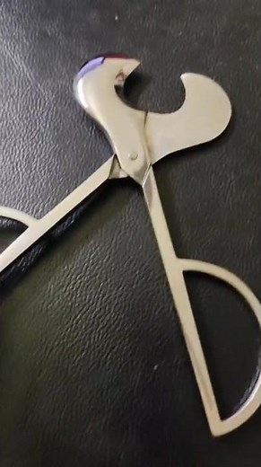 The Best Cigar Scissors 2026 │ Top 10 Cigar Cutter 2025 │ Murree Corporation