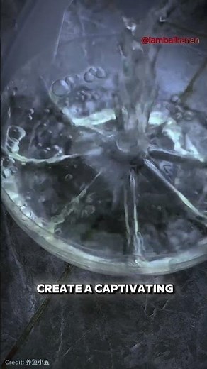 Transform Your Old Bottles into Stunning Mini Aquariums! 🐠♻️