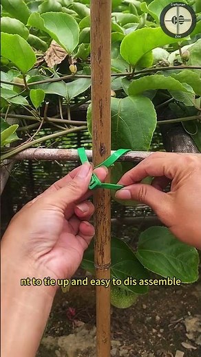 This green cable tie is very convenient to tie up and easy to disassemble