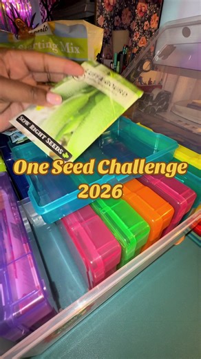 @ashleys_urban_garden #oneseed2026 I’m starting my ONE SEED challenge today and I can’t decide 😩 Do I grow okra… or loofah?? What would YOU grow?