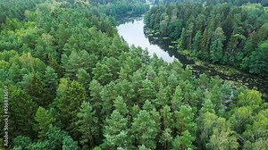 Stunning Aerial View of Dense Evergreen Forest and River. Picturesque View of River Flowing Through Wilderness Reserve Poland. Ecosystem Nature Wild Life Landscape. Global Warming Emissions Reduction.