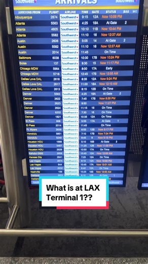 Delicious food, refreshing drinks, and last minute gifts await you at Terminal 1 of LAX! Stay hydrated with a variety of beverages, including cocktails and coffee. Terminal 1 has it all! 🍔🍹🛍️ From around 6:30am till about 10pm, these restaurants and stores are open in this terminal. Get the tasty Panini El Diablo at Urth Cafe, the soft and warm pretzels at Wetzel’s Pretzels, the strawberry belts at the candy store, a new book to pass some time, or treat yourself to a relaxing chair massage. D