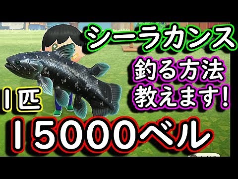 【あつまれどうぶつの森】シーラカンスを釣る方法！教えます！！