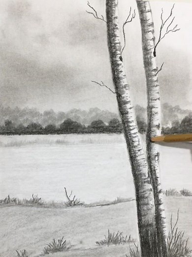 Birch tree landscape drawing for beginners by pencil#charcoal #pencil #art #drawing #sketch #shading