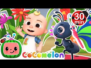 Ants Go Marching Dance   More Nursery Rhymes & Kids Songs - CoComelon - Videos For Kids
