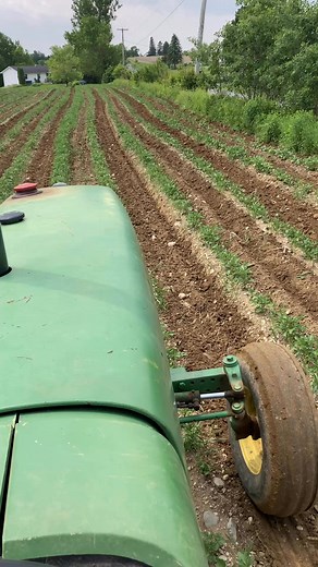 1.5K views · 50 reactions | LEWIS HILL FARMS on Reels | Facebook