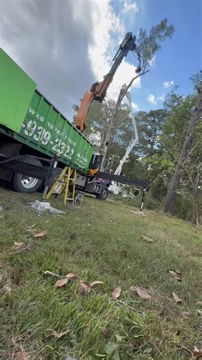 Teamwork in the treetops  Assisting Big Bass Tree Company on a...