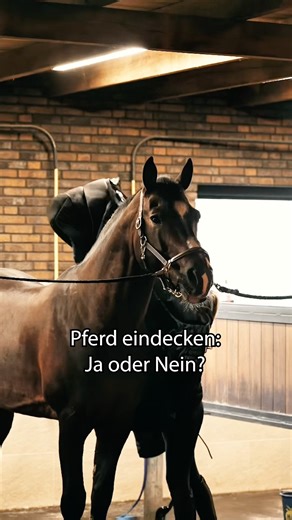 Ob du dein Pferd eindecken solltest oder nicht hängt von vielen Faktoren ab und sollte für jedes Pferd individuell entschieden werden🐴 Wann ist Eindecken sinnvoll? • Bei geschorenen Pferden • Bei alten oder kranken Pferden • Bei Fohlen und Jungpferden, sie haben oft noch nicht ausreichend isolierendes Fell • Bei Wind und Nässe ist eine Decke zum Schutz vor Auskühlung und Verspannungen oft sinnvoll Wann kann auf eine Decke verzichtet werden? • Wenn dein Pferd genügend Winterfell hat • Bei trocke