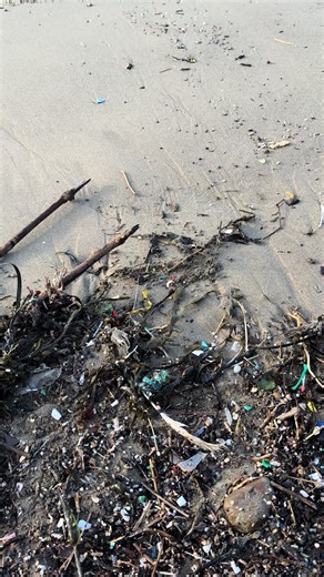 Exploring Black LEGO Flippers from the 1990s