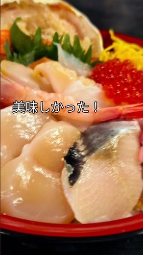 小さな軽トラで車中泊🌿丁度よい空間 #shorts #軽トラ #旅行 #観光 #軽トラキャン