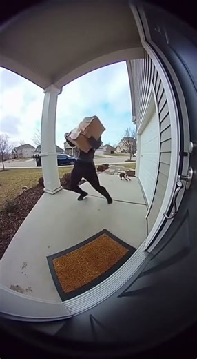 Trapbox Channel – Catching Package Thieves in the Act