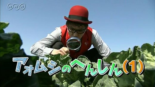 アオムシのへんしん（１） | ふしぎがいっぱい （3年） | NHK for School