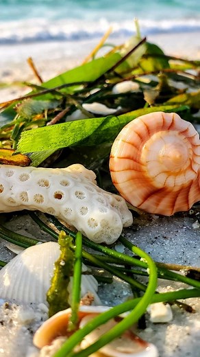 17K views · 130 reactions | Personally, I'm drawn to the...⬇️ . You...