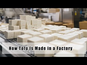 How Tofu Is Made in a Factory