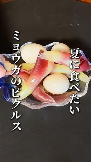 茗荷のピクルス⭐︎みょうが茎救済⭐︎ #簡単レシピ #料理 #晩ごはん