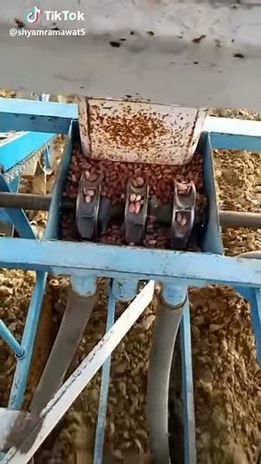 Seed metering mechanism in seed drill