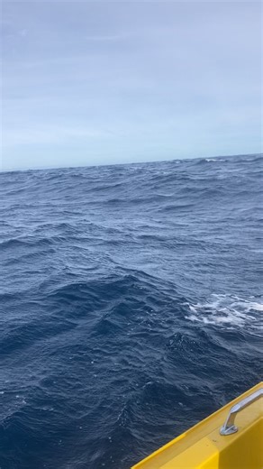 Experience the Thrill of Fishing Snapper Today