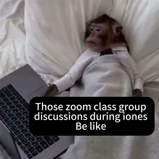 最近的留学网课好多小组Discussion和presentation呀，大家平时上课是这个状态吗？ #网课 #Zoom网课 #留学vlog #留学日常 #presentation